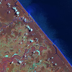Satellitenbild von Bananenplantagen